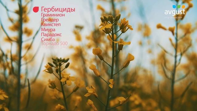 ТОО Ак-Жер 2010. Результаты сезона 2019 года