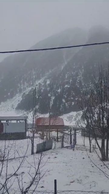 с.Хонох🌎