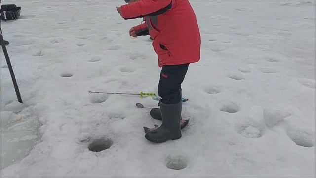 Поимки форели на раттлины и "моргалки". Клёвое место, Лосиный остров, нижний водоём.