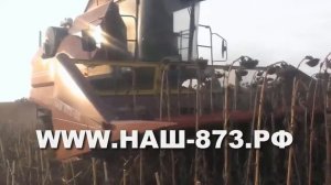 Жатка НАШ 873   уборка подсолнечника Палессе GS 812