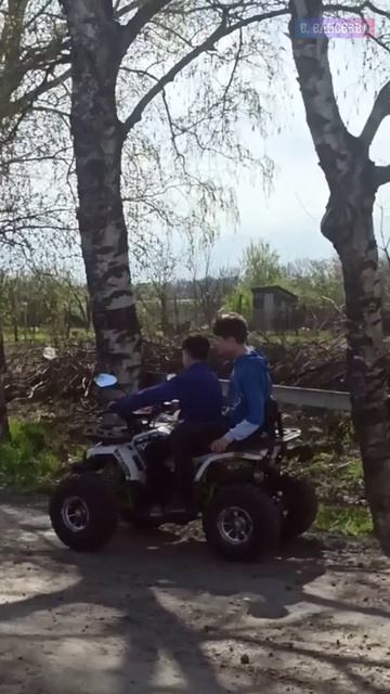 Братва вышла покататься... 😀