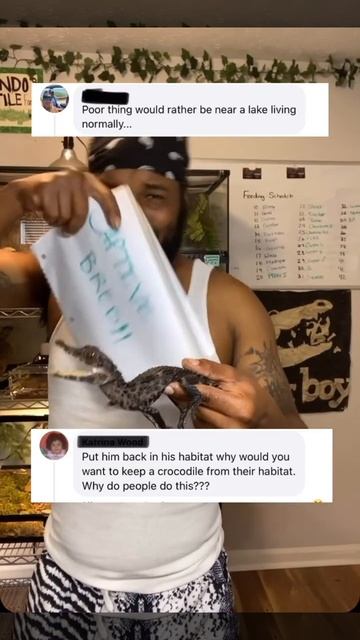 explore reptiles caiman