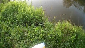 Бомбарда 26.06.20 г.