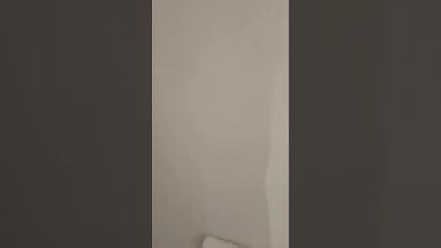 Ремонт квартиры покраска стен смотреть онлайн