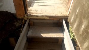 Сибирский вегетарий защищает и от перегрева