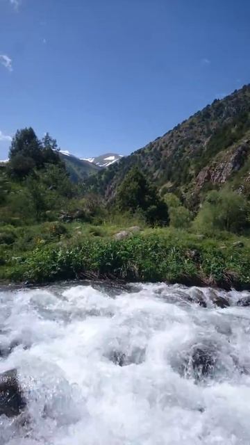 Природа ЮКО Казахстана смотреть онлайн