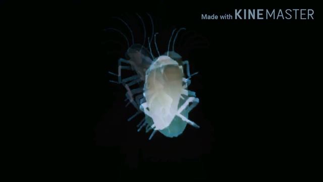 Таракан Сергей Сделал свой BassBoosted-Omnis(обязательно прочитай описание👇👇👇) смотреть онлайн