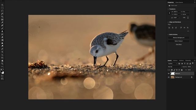 Realtime Edit - Elliott Naef - Sanderling смотреть онлайн