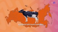 Видеоролик о среде и отрасли 10-11 класс Россия мои горизонты 24 апреля 2025