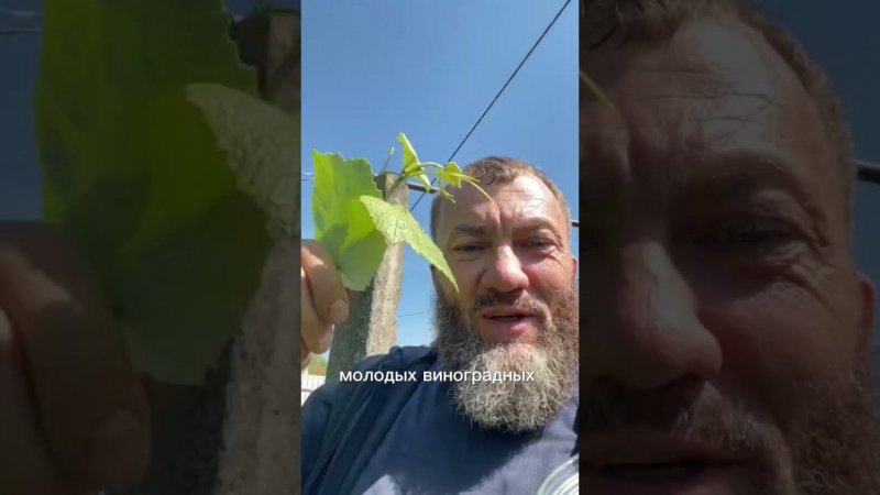 Сегодня ставлю новый напиток на травах. #здоровоепитание #жизнь #деревня #поэзия
