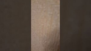 Мои соседи ругаются?????