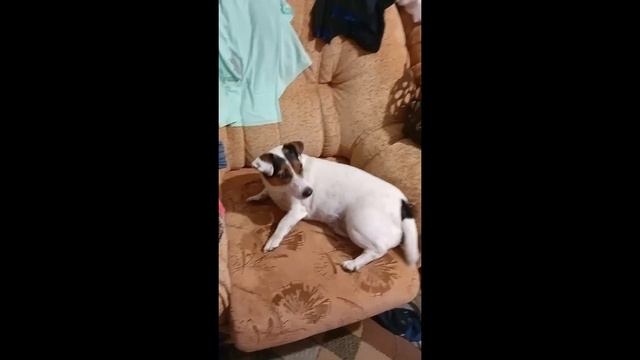 побег из тюрьмы игра в реальной жизни 2 часть смотреть онлайн