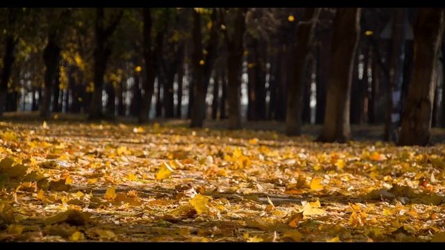 Autumn Leaves -1-hour | Piano Music | Sleep Music | Meditation Music | Study Music | Stress Relief смотреть онлайн