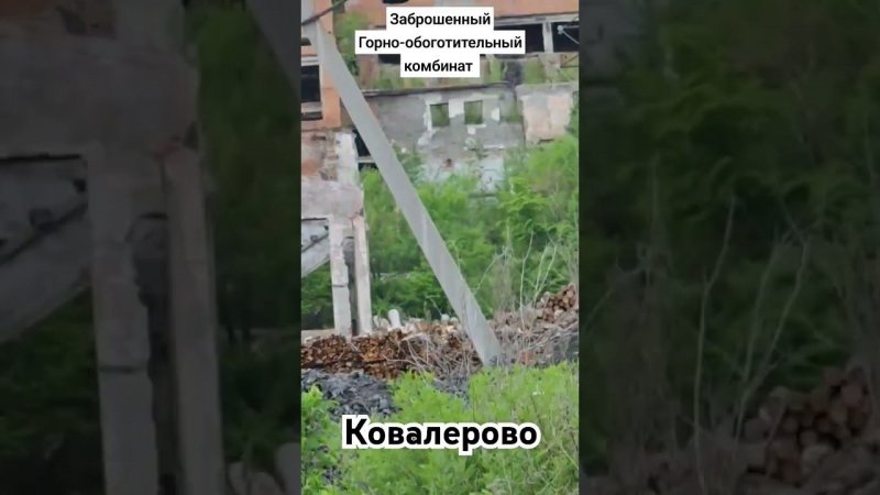Ковалерово. Заброшенный комбинат.