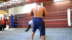 Shifu Yan Lei