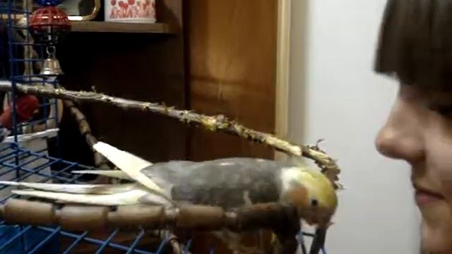 Покусайчики и поцелуйчики смотреть онлайн