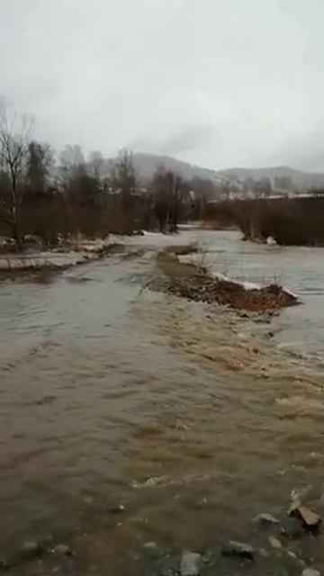 Алтайский край село нижней каянча 26.03.18