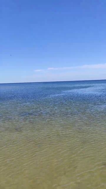 Море. #Baltic_sea #Sea #Море #Балтийское_море #Балтика #Прибалтика #Балтия #Fyp #Pyf #Beach #Пляж.