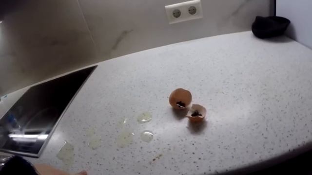 гомункул сбежал смотреть онлайн