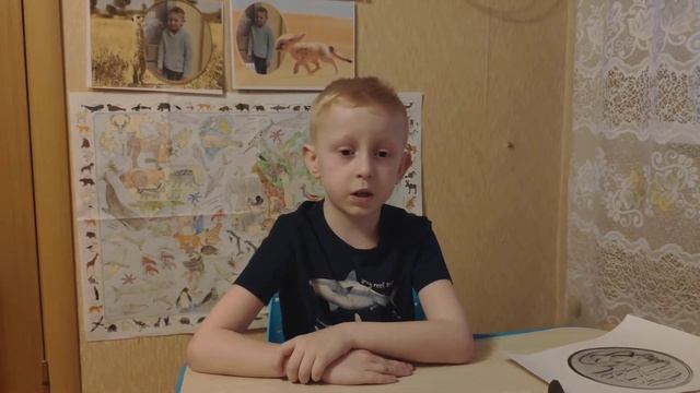 Утконос смотреть онлайн