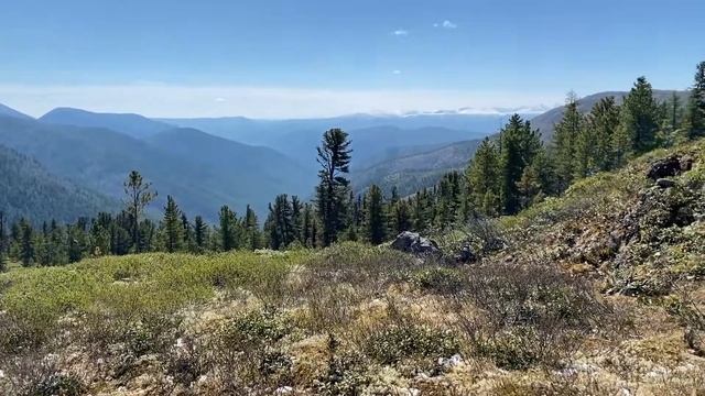 Ботогольский голец 10 июня 2022 Утро смотреть онлайн