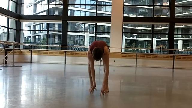 Final Composition Moulting