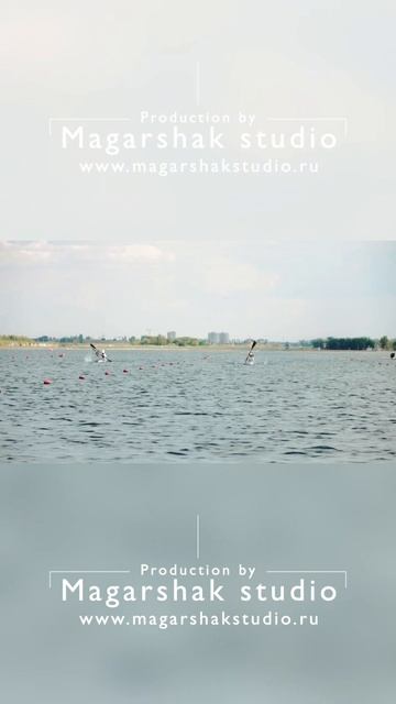 Портфолио