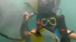 Scuba Diving @Grand Island, Goa, Arabian Sea🤟