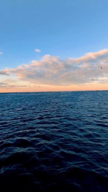 Балаклава , осеннее море смотреть онлайн