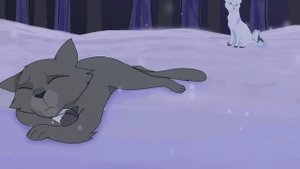 •Warriors cat•~Counting stars