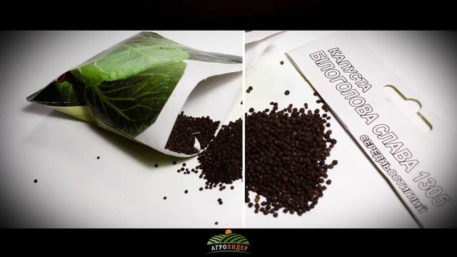 Семена капуста Белоголовая Слава-1305 - Агролидер смотреть онлайн