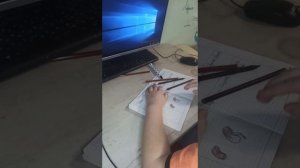 Окружающий мир 3 класс проращиваем фасоль шаг 2