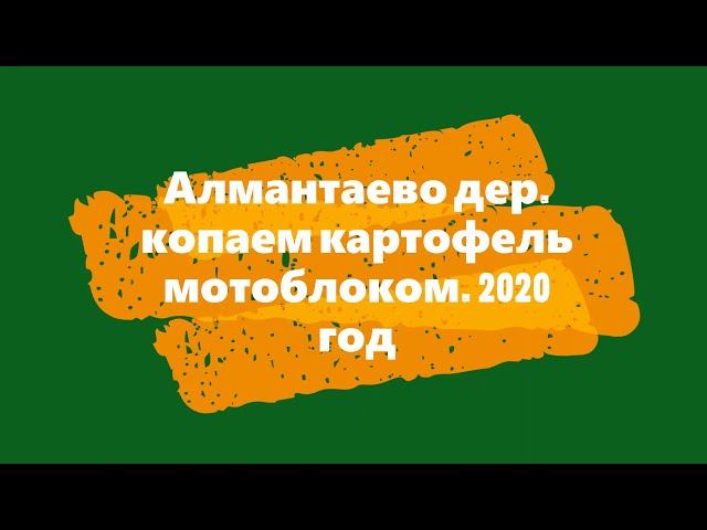 Магашлы Алмантаево Копка картофеля мотоблоком смотреть онлайн