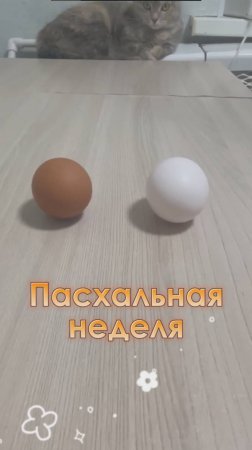 Факты про яйца #эксперимент #факты #яйца #лайфхаки #интересно #кулинария #еда #готовка #обзор #пасха