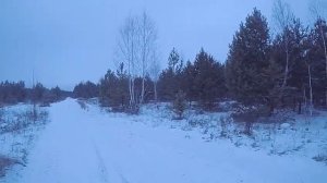 охота на русака с гончими! добыл очередного заяца.