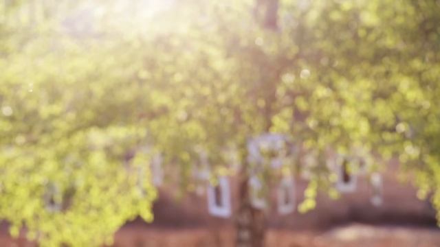 Սուրեն Մելքումյան смотреть онлайн