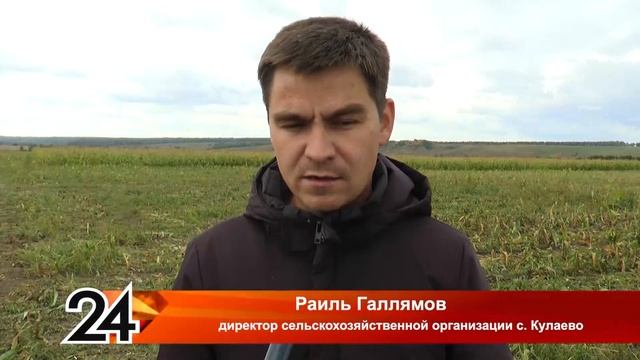 Труженики сельскохозяйственной организации села Кулаево приступили к уборке кукурузы смотреть онлайн