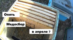 Предварительная постановка вторых корпусов на пасеке.
