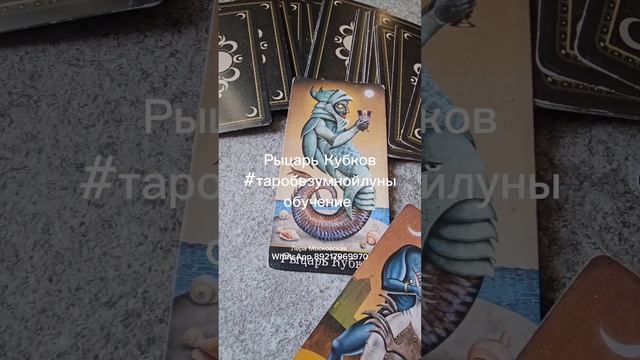 Рыцарь Кубков.ОБУЧЕНИЕ.#таробезумнойлуны #таро #гадание