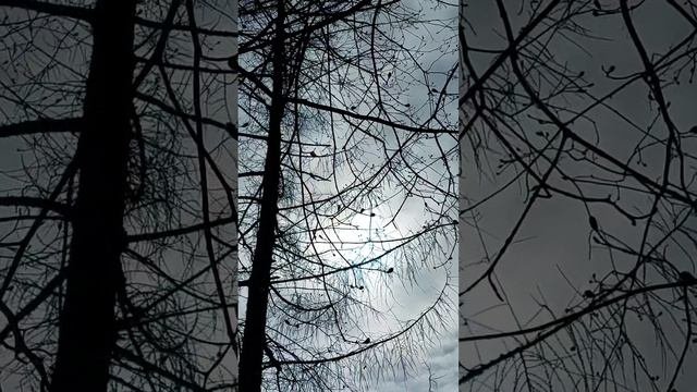 весенний день!
