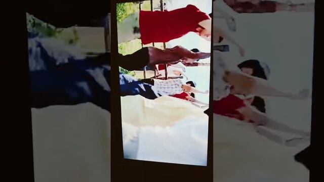 саранча 