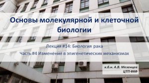 Основы молекулярной и клеточной биологии (2024) Лекция 14 Биология рака Ч4 Эпигенетика и терапия