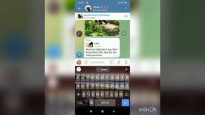 как спамить в telegram?