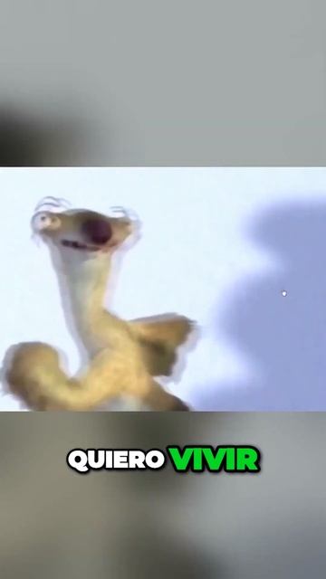 Queso con larvas #curiosidades #datoscuriosos #sabiasque смотреть онлайн