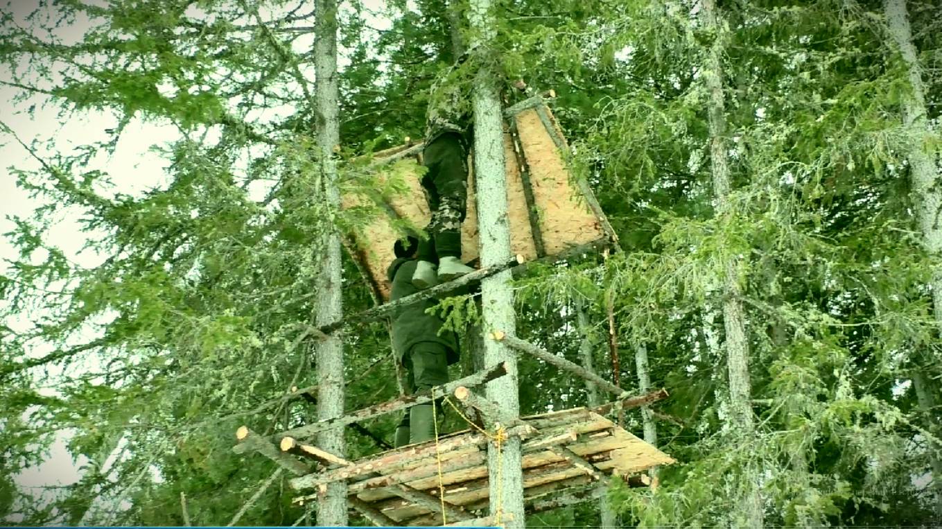СТРОИМ СКРАДОК НА ДЕРЕВЕ. ЗАВОЗИМ СОЛЬ НА СОЛОНЦЫ НА БУРАНЕ. РЫБАЛКА НА ТАЁЖНОЙ РЕКЕ.