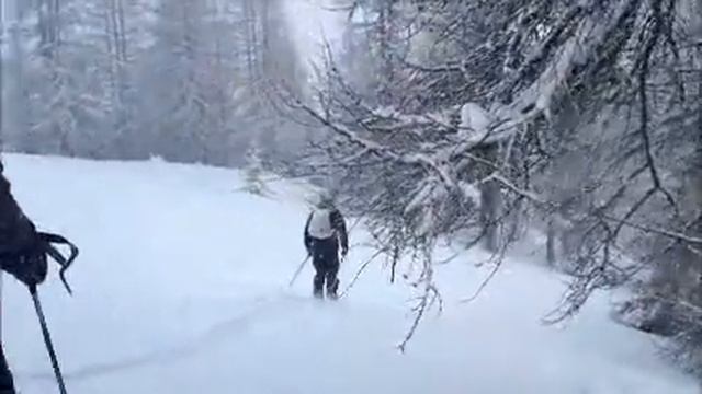 scinatale013 смотреть онлайн