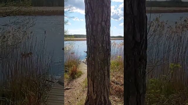 Мини-каникулы в Ружанском, апрель 2023г. смотреть онлайн