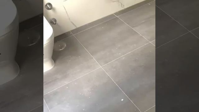 🛁 bathroom renovation - REFORMA COMPLETA DE BAÑO - #reforma #obras смотреть онлайн