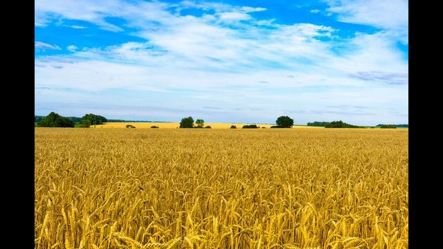 начали давать карантинную 1000 пенсионерам в Украине,карантинная 1000 каждый месяц