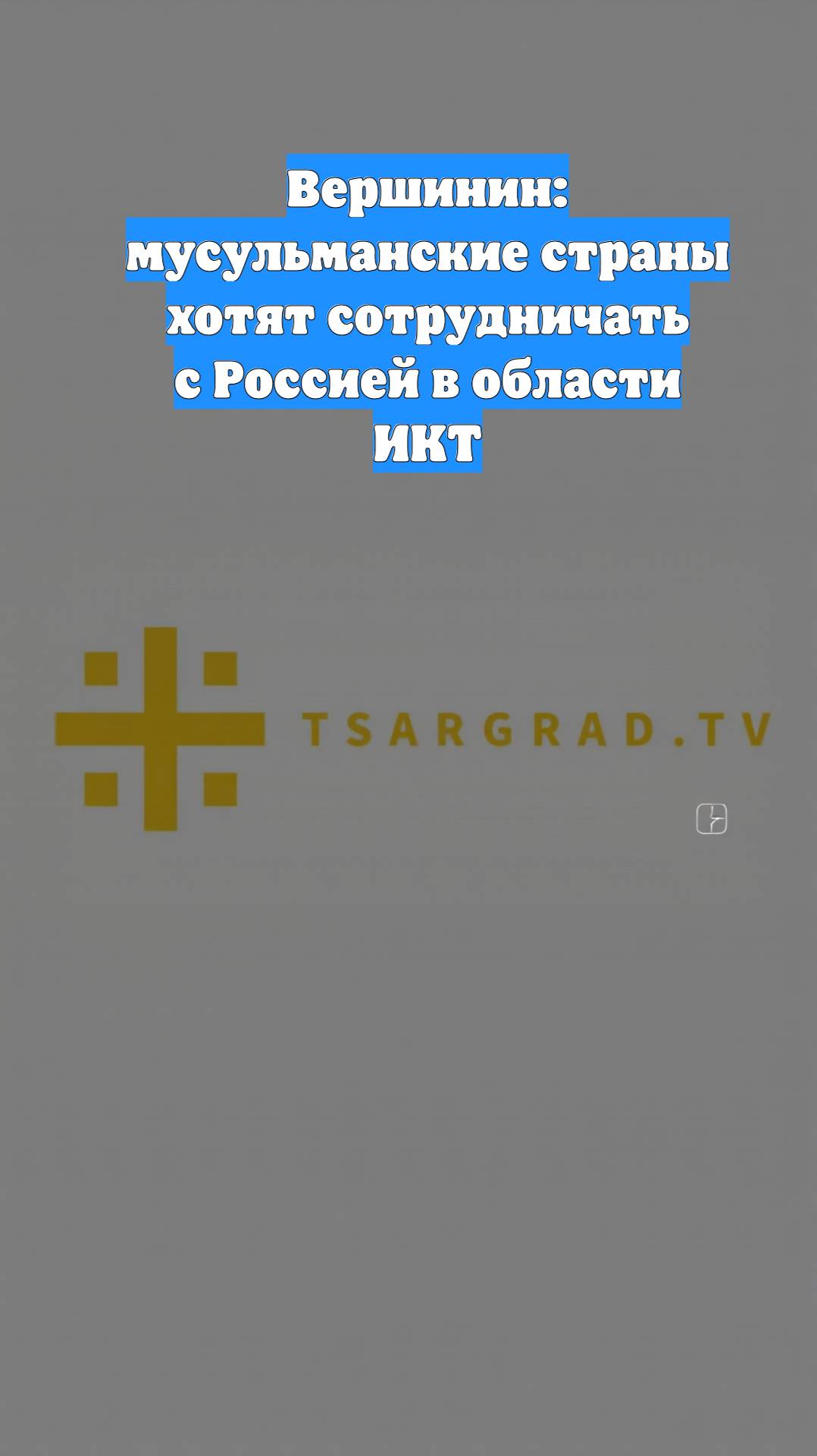 Вершинин: мусульманские страны хотят сотрудничать с Россией в области ИКТ